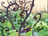 potager-green-revolution
