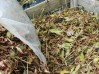 autumn-checklist