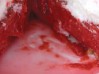 raspberry-meringue-pie