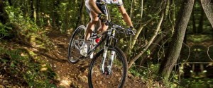 29er demo day on Sat 18th February