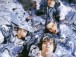 The Total Stone Roses