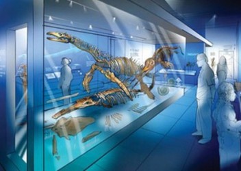 Peterborough Museum
