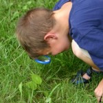 bug hunter