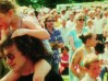 Willow Festival
