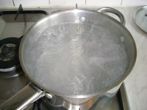 D:DCIM100DICAMDSCI0044.JPG