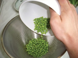 D:DCIM100DICAMDSCI0047.JPG