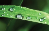 rain-drops-CREDIT-Moyan_Bre