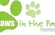 Paws-in-the-park-featured