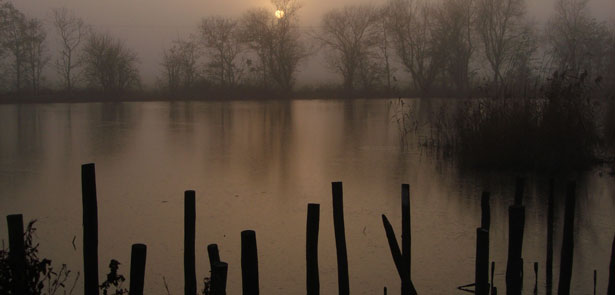 Posts-Showing-the-Causeway