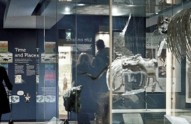 Museum-featured