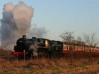 Winter-Discount-at-the-Nene-Valley-Railway