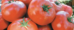 top-ten-tomatoes