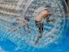 Vivacity-sports-Easter-half-term-1