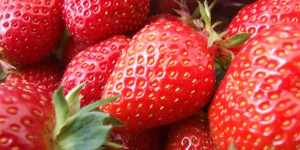 strawbs_crop