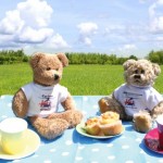 Teddy bears picnic