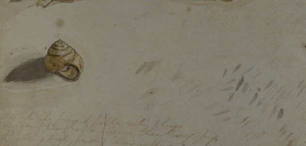 rare-john-clare-manuscripts-on-display-at-peterborough-museum-local
