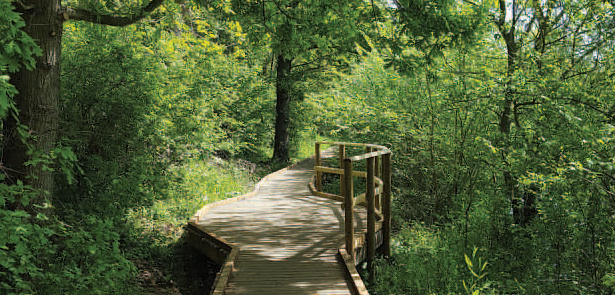 Ferry Meadows In Nene Park