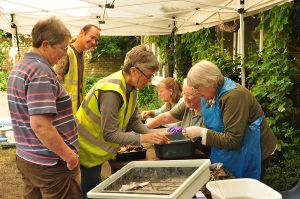 Community Archaeology Dig