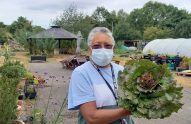 Volunteer in the Westraven garden