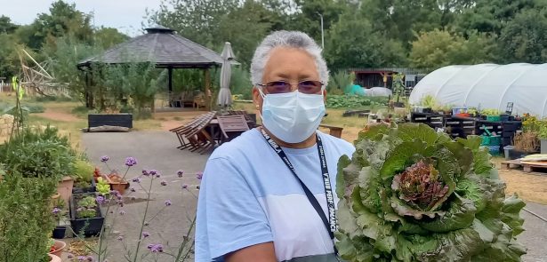 Volunteer in the Westraven garden