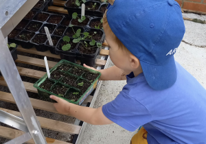 Learning about gardening