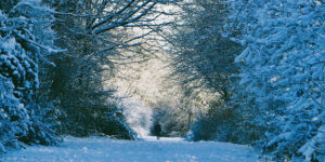 Nene Park Winter Festival