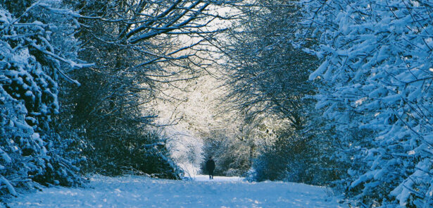 Nene Park Winter Festival