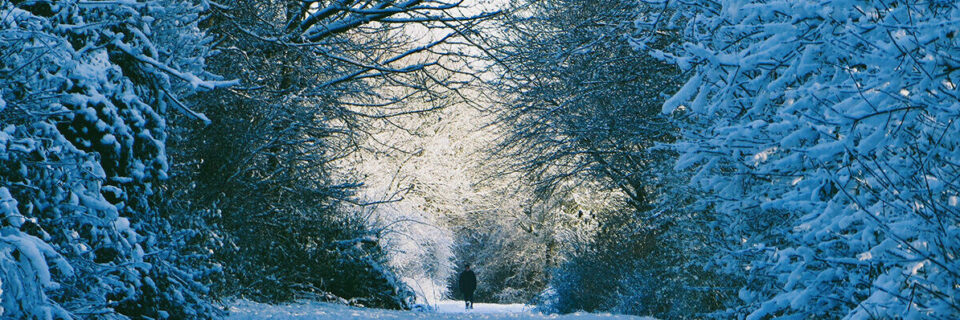 Nene Park Winter Festival